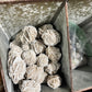 Desert Rose