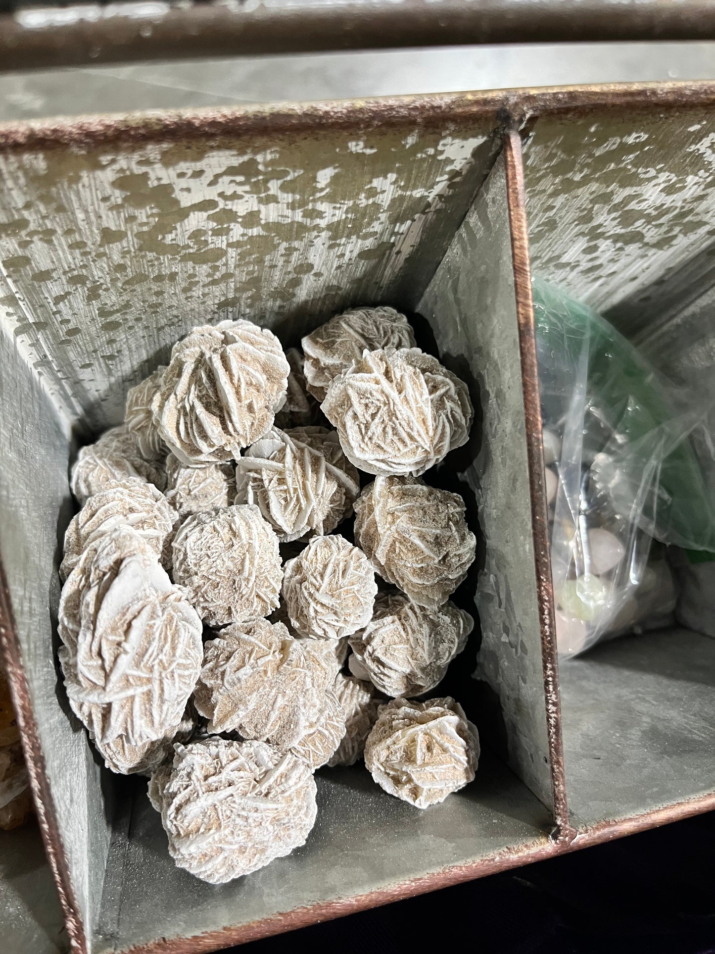 Desert Rose
