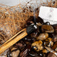 Tumbled Nguni Jasper