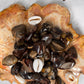 Tumbled Nguni Jasper