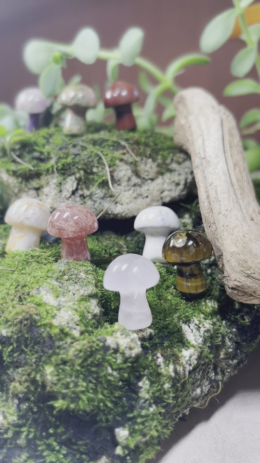 Crystal Mushrooms
