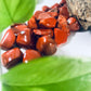 Red Jasper