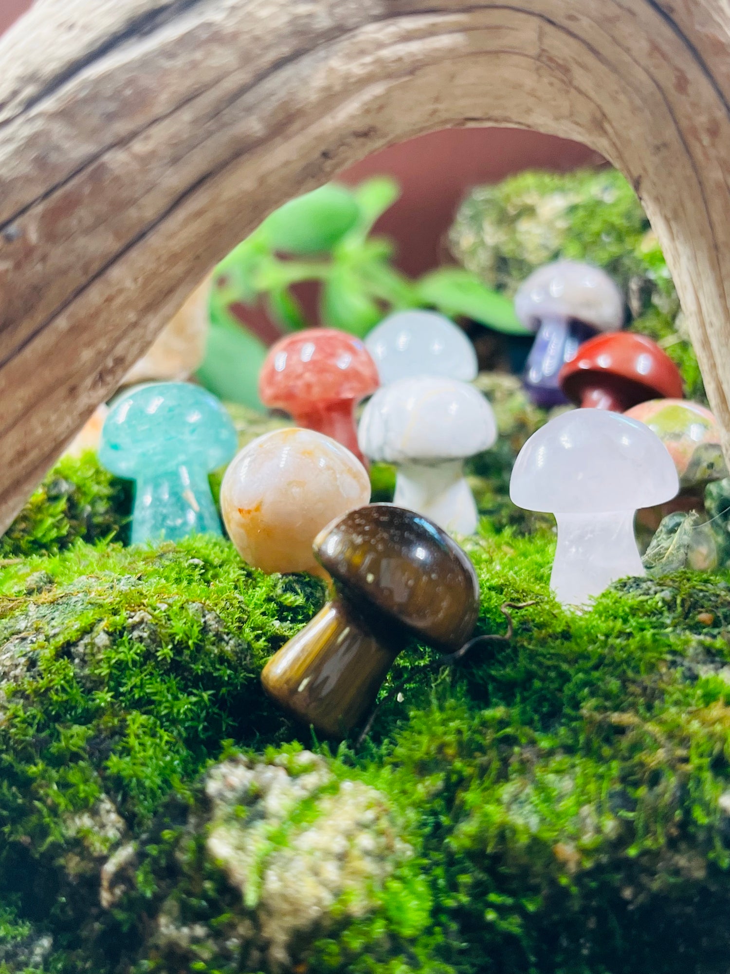Mini hand carved crystal mushrooms 